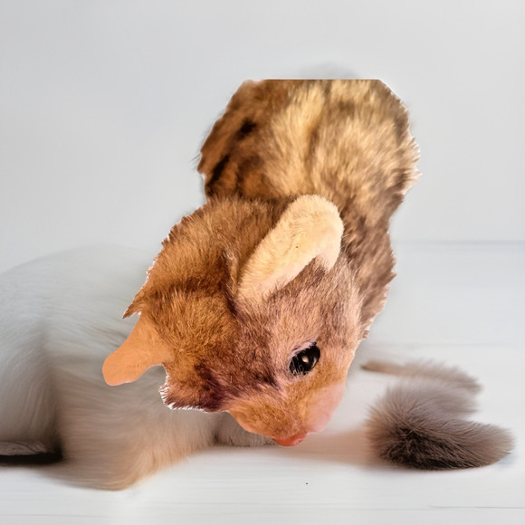 LION CUB Discovery Channel Plush Stuffed Animal Collectible Vtg Cat Kitten 2002 - Picture 11 of 13